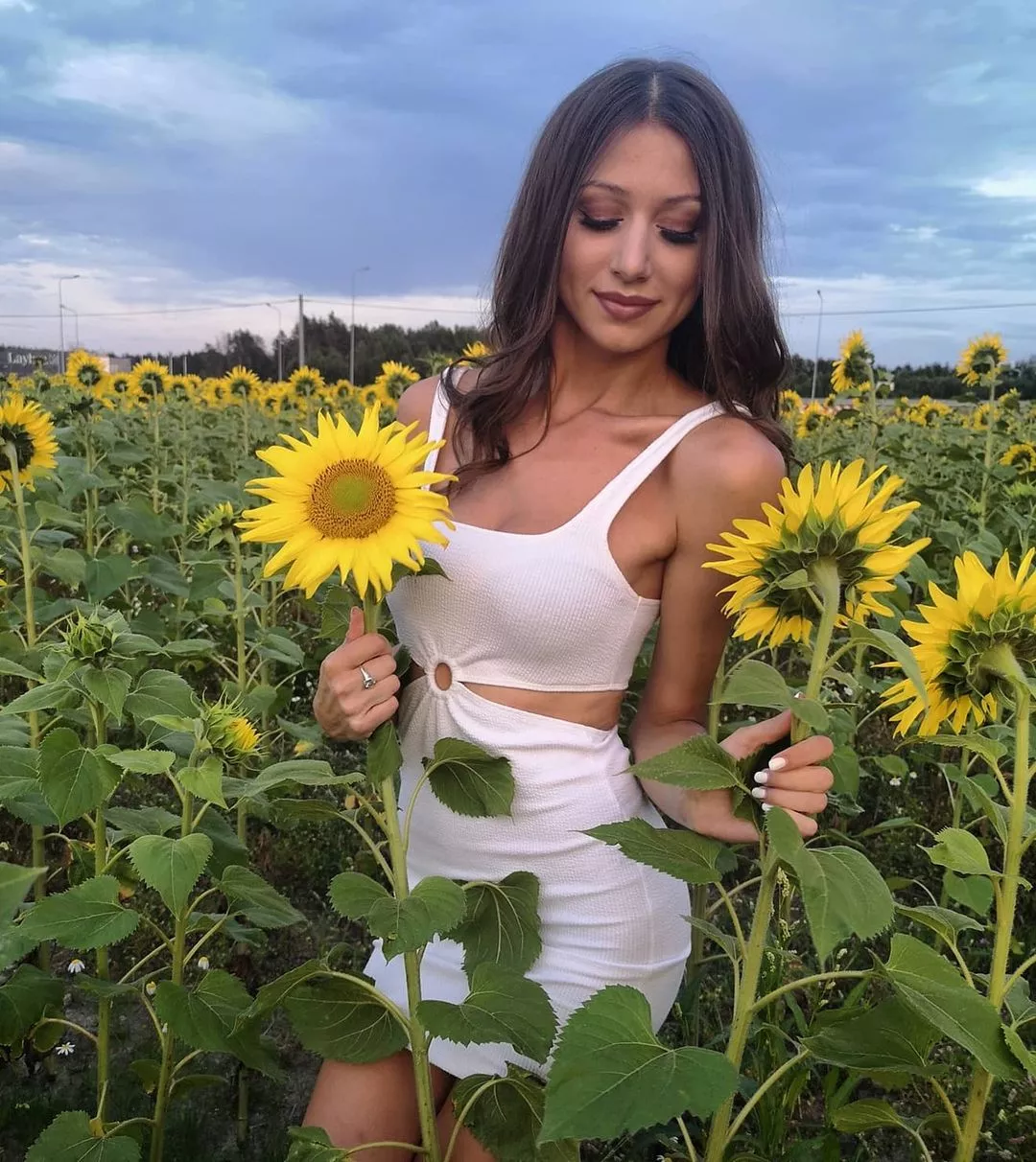 Kuszący dekolt artystki disco polo w „słonecznikowej” sesji. Ponętny van Gogh!